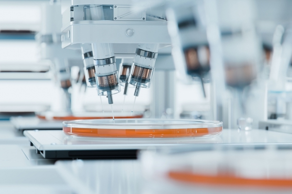 Vietnam's Protein Expression Market Grows as Biopharmaceutical and Biotechnology Research Expands
